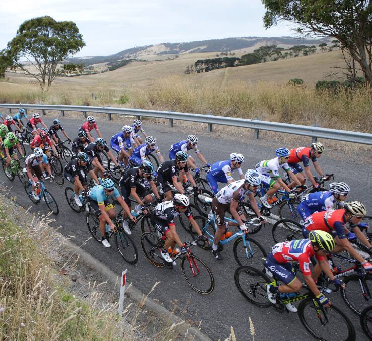 ON THE ROAD: The peloton makes its way to Victor Harbor on stage three of the Tour Down Under. Photo: JOHN VEAGE 012017TDU