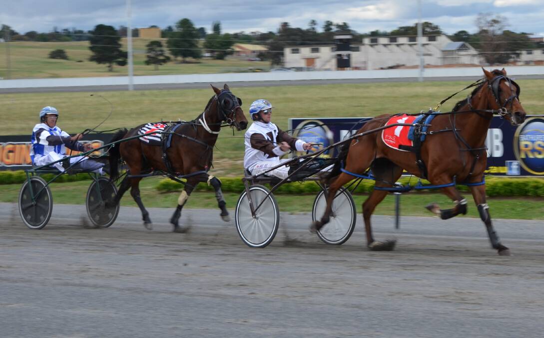 HOLDING ON: While tiring down the straight, the Mat Rue driven Karloo Threeothree held on to win at Bathurst. Photo: ANYA WHITELAW 112316ypace 