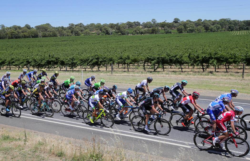 ON TOUR: The field in the annual Tour Down Under make their way through the second stage in Adelaide.