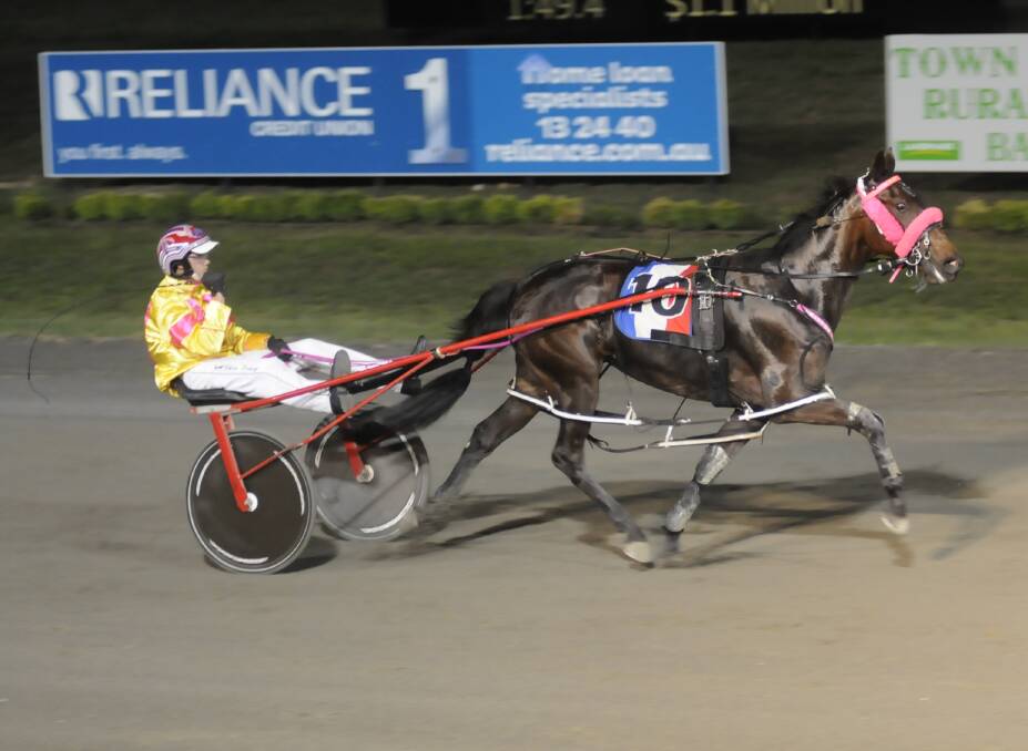 MEMORABLE MOMENT: Chris Geary drives My Sweetchilliphilly to victory in the Group 1 Gold Tiara Final on Saturday night. Photo: CHRIS SEABROOK 032517crown5