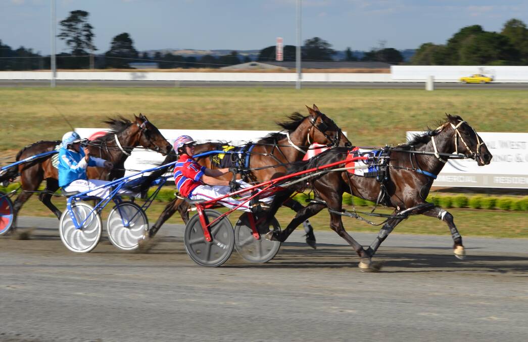 ON THE MOVE: The Mitch Turnbull driven Bacchus Raucous sprints down the home straight at the Bathurst Paceway. Photo: ANYA WHITELAW