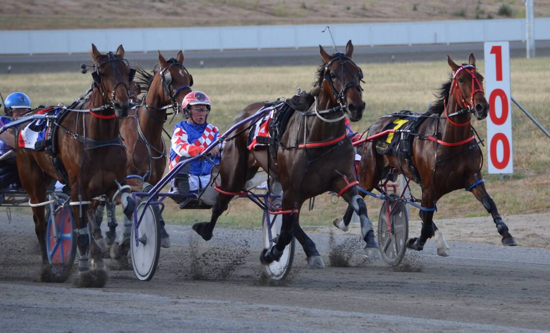 COME ON: Bernie Hewitt wills on Allnight Mlady over the last 100 metres of her race at the Bathurst Paceway. Photo: ANYA WHITELAW