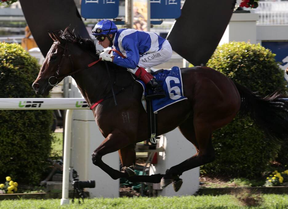 WINNER: Michael Cahill on Palazzo Pubblico wins at the Doomben Cup Day, in May this year. Photographer: Tertius Pickard 
