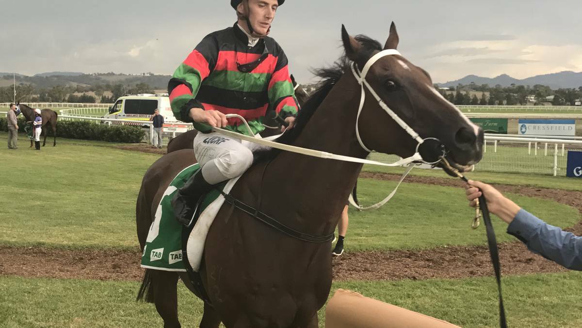 Winning return: Ben Looker returns to the winner's stall with Art D'Amour after the gelding produced a stunning run to win Friday's Country Championship Preview at Scone.