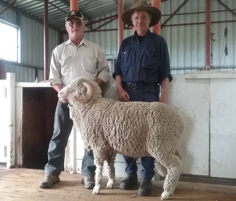 SUPERFINE RAMS: Turon Hill studmaster Brenden Cole with volume buyer Noel Kym after the sale at Sofala last Saturday.