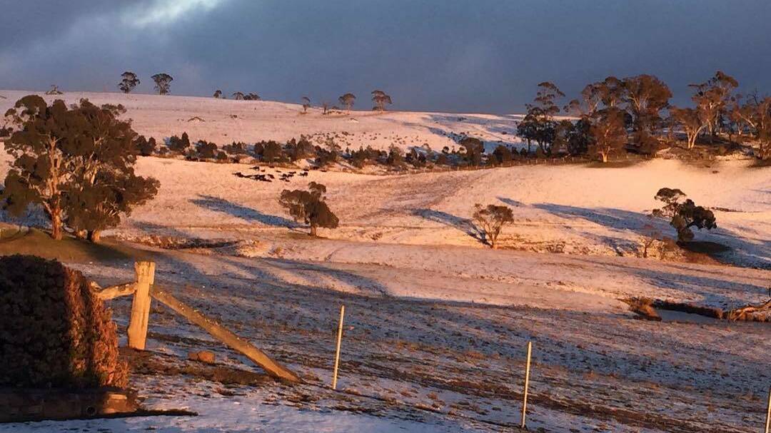 Areas around Oberon received the first good snowfalls of the season last week. More is predicted for Friday. Photo: @paradahillstruffles
