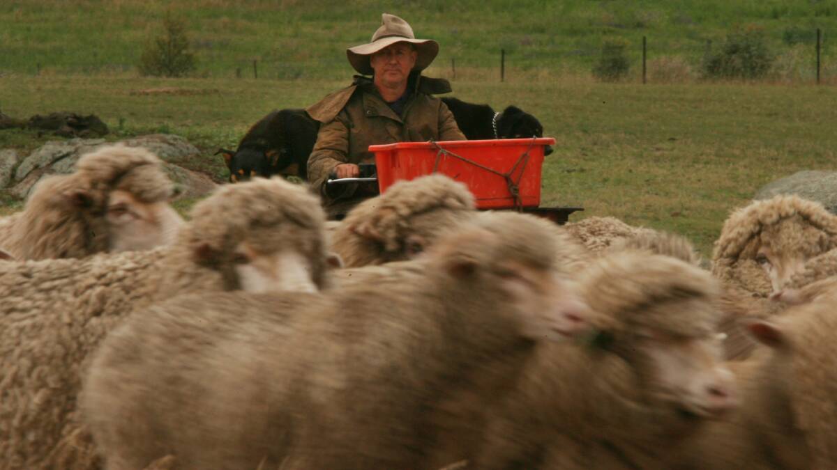 MAN ON THE LAND: Farmer and author Charles Massy on his property near Cooma.