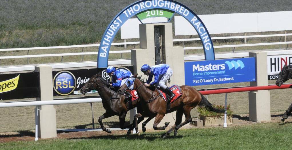 WINNING POST: Bathurst Thoroughbred Racing is seeking support from council to fund an ambitious upgrade at Tyers Park. Photo: CHRIS SEABROOK