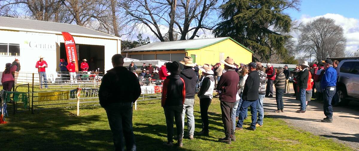 GOOD CROWD: The Bowyer and Livermore team selling a working sheep dog at last Saturday’s event at Bathurst Showground.
