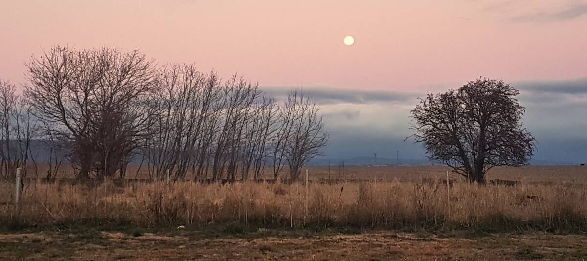 SNAPSHOT: Tabby Fuller snapped this fantastic image of a full moon over Bathurst last week.