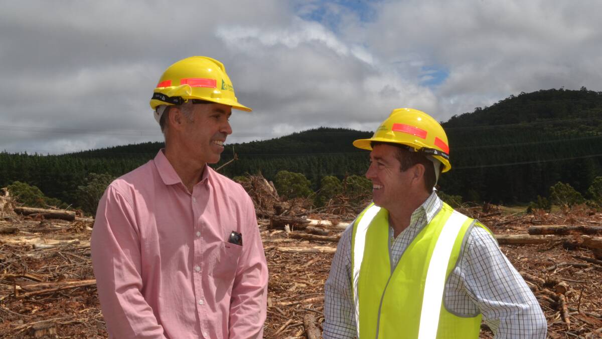 A GROWING INDUSTRY: Forestry Corporation regional manager Jason Molkentin and Lands and Forestry Minister Paul Toole in a state-owned pine forest near Oberon on Wednesday.