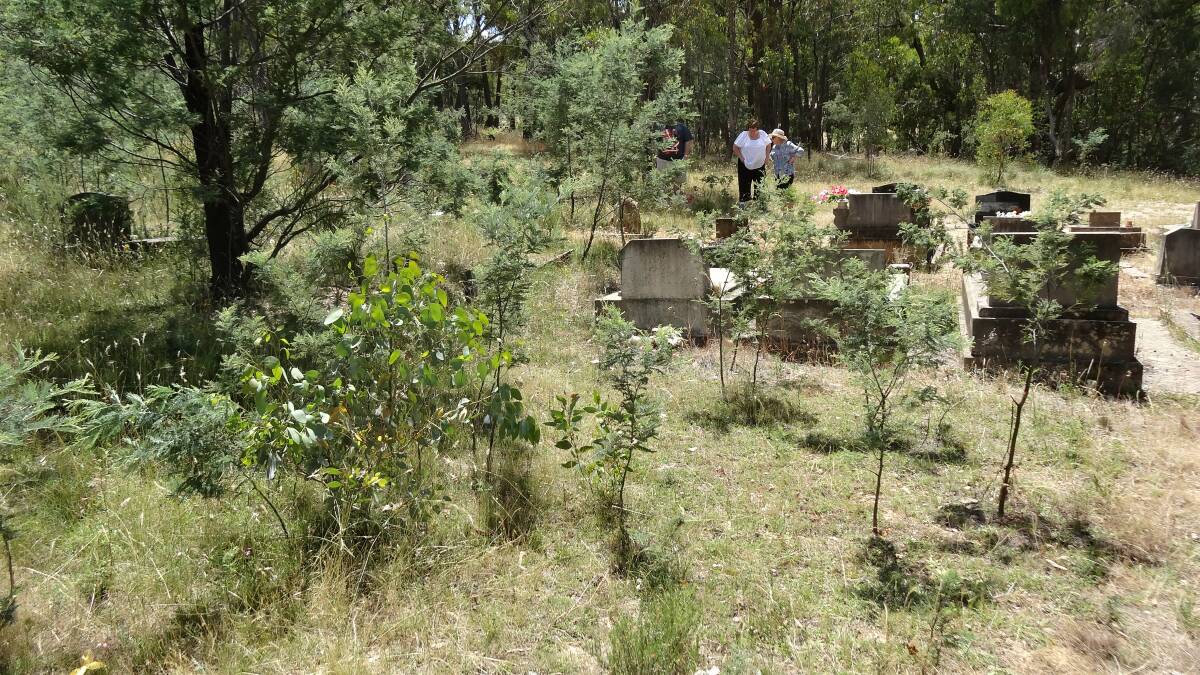 OVERGROWN: Money has been allocated to cleaning up Trunkey Creek cemetery as part of Bathurst Regional Council's heritage grants.