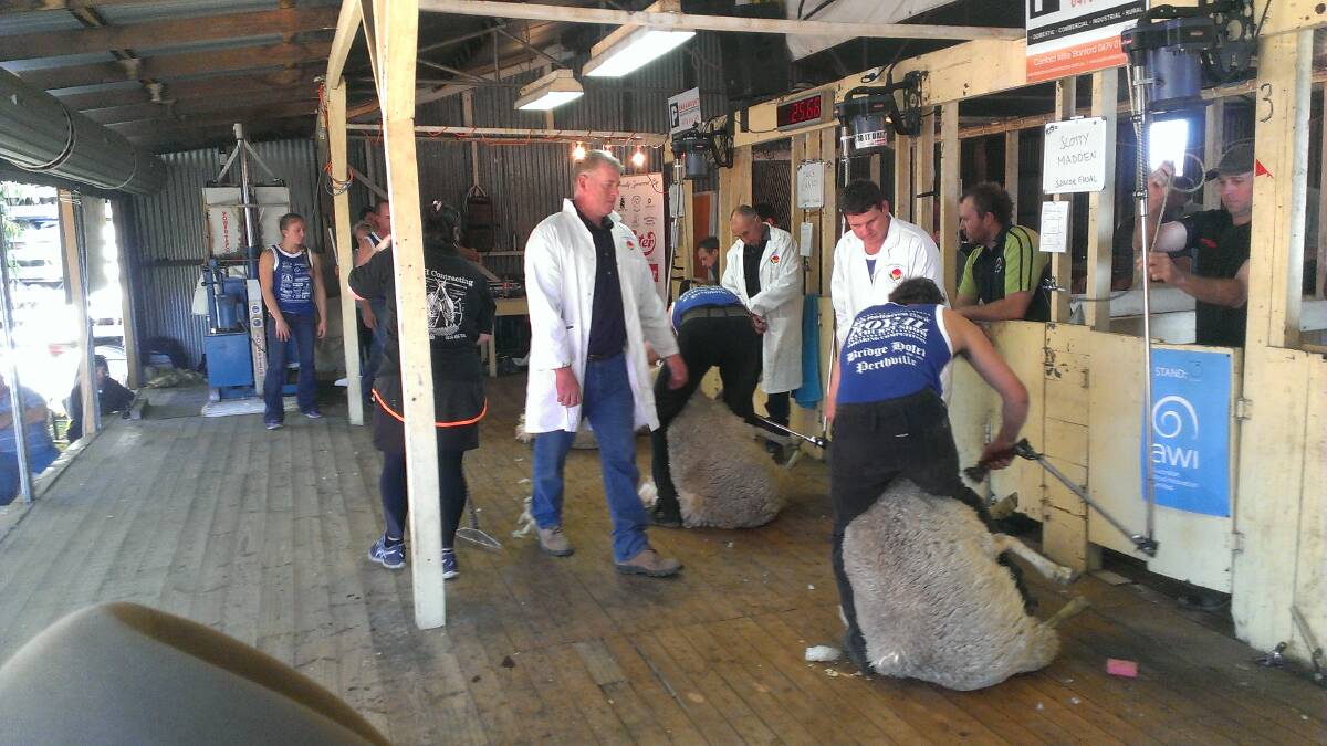 IN THE SHED: The shearing events at the Royal Bathurst Show were hotly contested and very well organised. Crowds of spectators were a highlight.