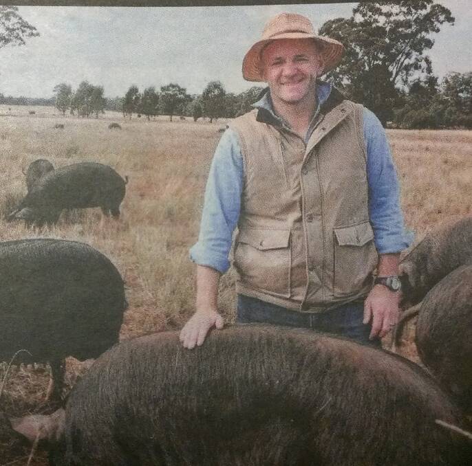 TWIST IN THE TAIL: Primary Industries Minister Niall Blair with some free range pigs is probably an indicator of the determination to expand the pork industry.