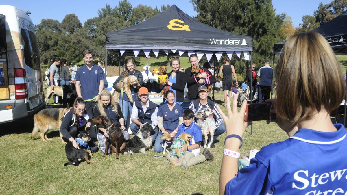 PAWS FOR A PIC: Staff and family from Stewart Street Vets pose for a photo at the Million Paws Walk. Photo: CHRIS SEABROOK 052117cpaws11