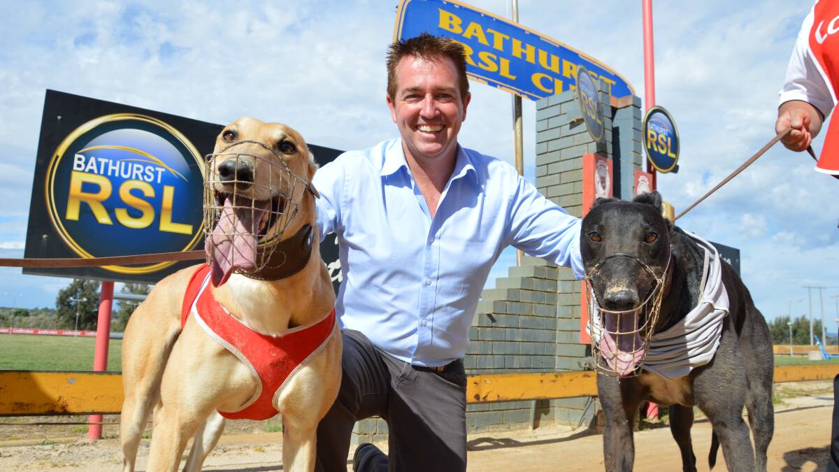 DOG DAYS: Racing Minister and Bathurst MP Paul Toole.