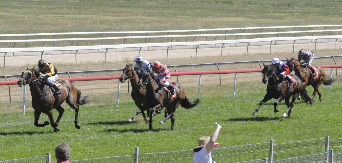 DAYLIGHT SECOND: Jockey Mitchell Bell guides Hirokin to victory in the Brian Burke Printing Wellington Cup Prelude at Tyers Park on Monday. 