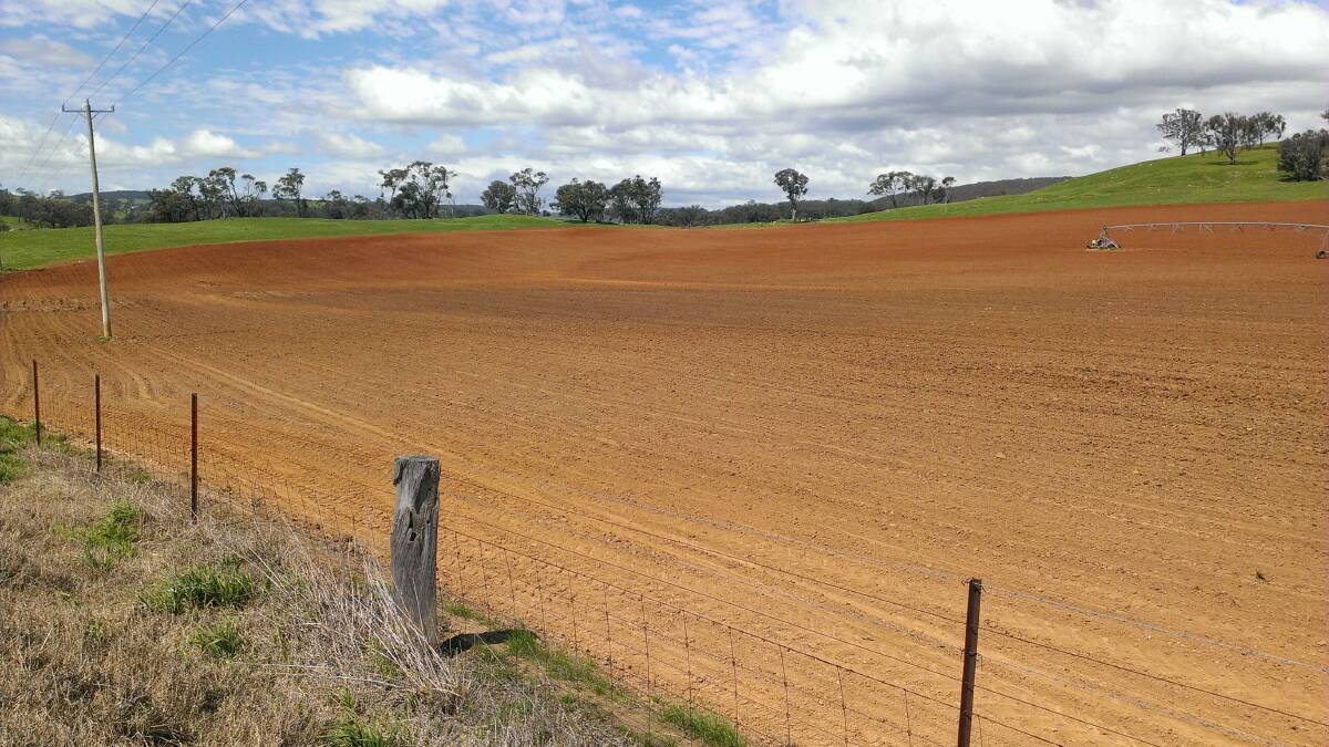 GET SET: Croppers are getting tillage machinery onto some paddocks already. Farmers are hoping a wet winter will add up to a profitable spring and summer.