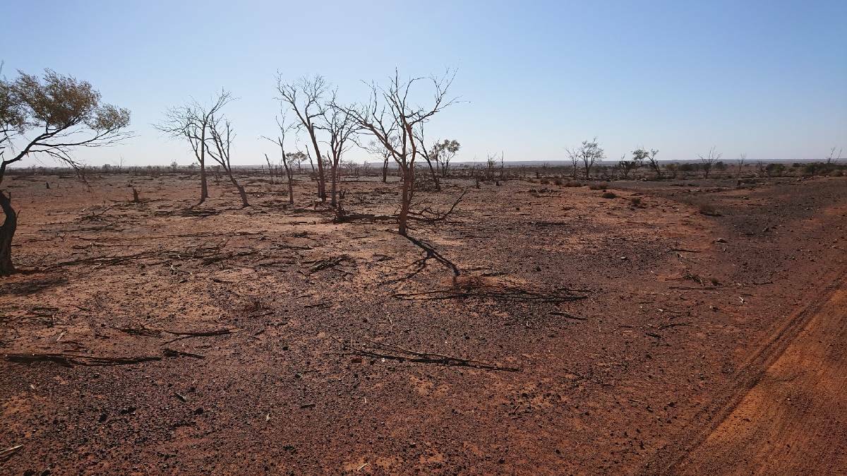 RAVAGED BY DROUGHT: Barren land near White Cliffs reveals the seriousness of the drought in Far West NSW. Photo: CARON CHESTER