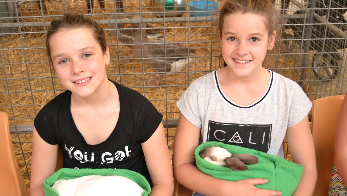 AT THE SHOW: Nell and Olivia Griffin enjoying the Animal Nursery.