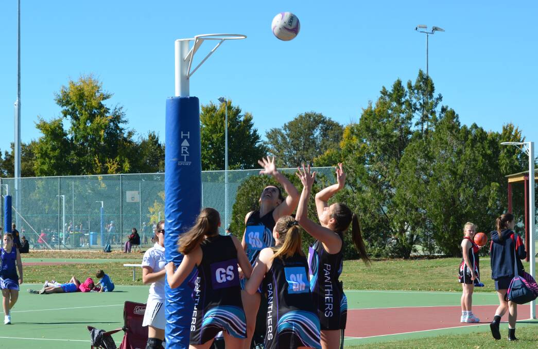 WATCHFUL: There were mixed results for the Panthers A and Panthers Mustangs teams in Saturday's netball action. Photo: ANYA WHITELAW