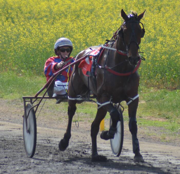 NO RACE: Organisers have been forced to make the tough decision to abandon this year's Canola Cup due to weather. Pictured is last year's winner Oh I Am The One.