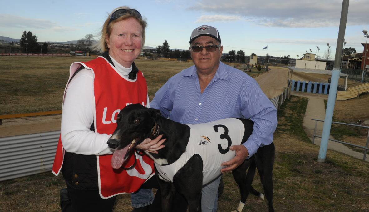 STRONG RUN: Lisa Worthy (trainer) and Dave Worthy (owner) were thrilled to see Hayville Cracker take his first career win on Monday. Photo: CHRIS SEABROOK