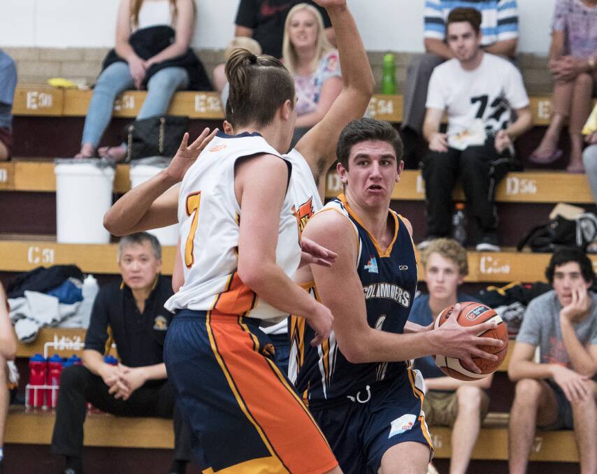 BIG GAME: Bathurst Goldminers' Matt Gray was a class above in Sunday's 114-67 win over the Camden Valley Wildfire. Photo: ALEXANDER GRANT