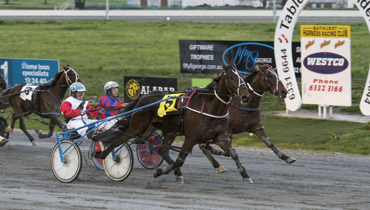 FIRST WIN: Secluded Beach (closest to camera) just beats Lockton Luck home in the opening race at Bathurst. Photo: ALEXANDER GRANT 091116trots1