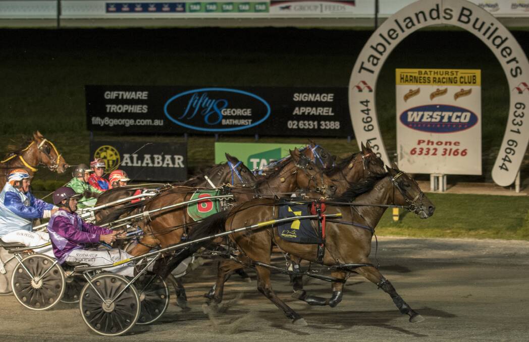 WHAT A FINISH: Mickilla Express (closest to camera) beat home a line of challengers in a thrilling conclusion to his race. Photo: ALEXANDER GRANT 092816agtrots5