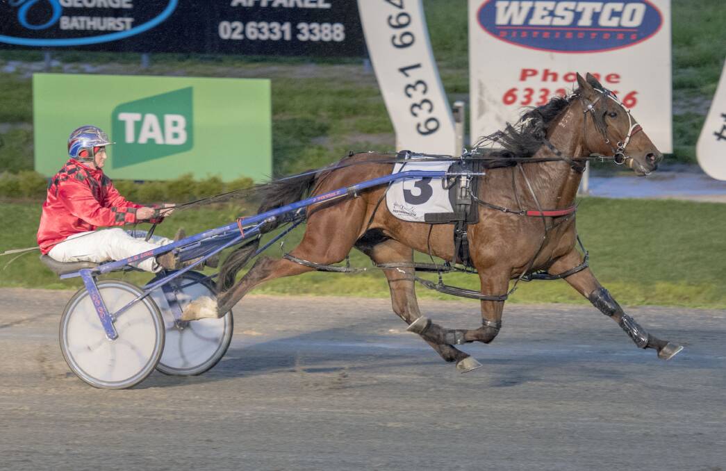 DID IT EASY: Panther Star wins the Tablelands Builders Pace (1,730 metres) at Bathurst Paceway on Wednesday night. Photo: ALEXANDER GRANT 092116agtrots2