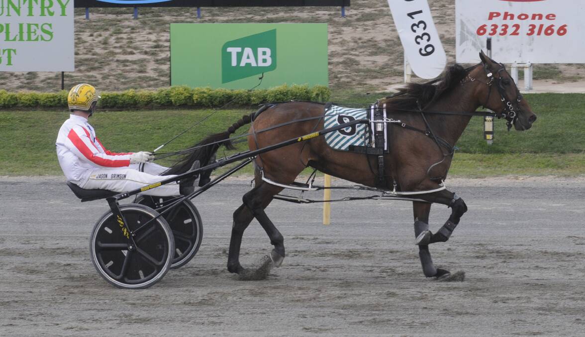 EASY WIN: Jason Grimson cruised to victory in the second Gold Bracelet heat with Dont Think Twice. Photo: CHRIS SEABROOK 032017ctrots1