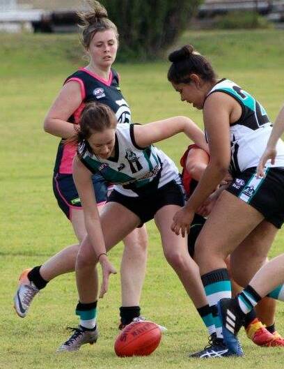 TOO GOOD: Bathurst Bushrangers are yet to lose this year. Photo: FACEBOOK