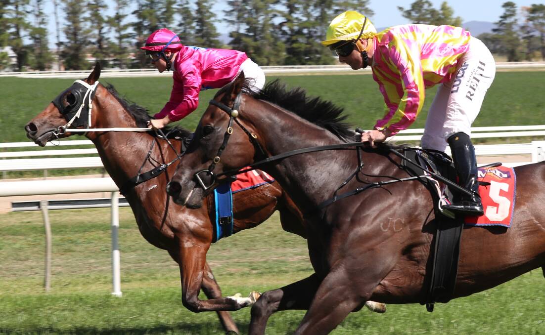 NOT MUCH IN IT: Prince Planet (left, Jamie Gibbons) and Skin Deep (Christian Reith) fought out a close finish at Tyers Park. Photo: PHIL BLATCH