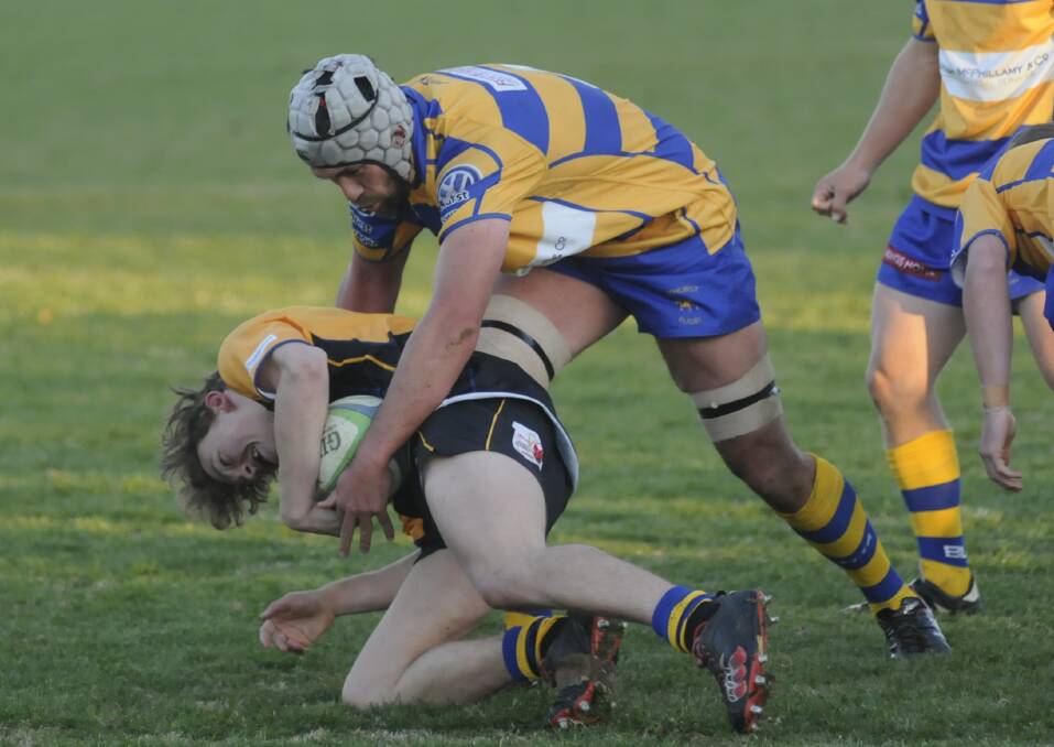LAST CHANCE: CSU will take on the Mudgee Wombats this Saturday at University Oval as both teams fight to avoid the wooden spoon. Photo: CHRIS SEABROOK