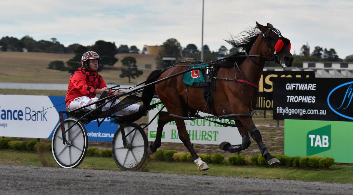 HE'S A STAR: Panther Star produced a scintillating back half to easily win Wednesday night's Bathurst Toyota Used Cars Pace at Bathurst Paceway. The next closest contender was 10m away. Photo: ALEXANDER GRANT 