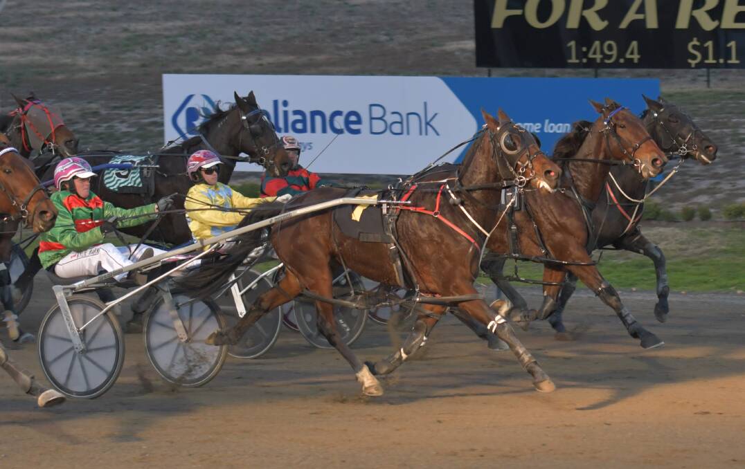 HI THERE: Swaggie Shannon (closest to camera) races by Comet Stride to win Wednesday night's Another Country Pace (1,730 metres). Photo: ALEXANDER GRANT