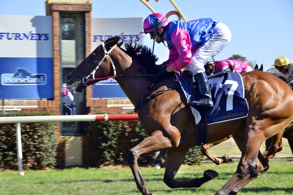 VICTORY TO TREASURE: Jake Pracey-Holmes and Stoneyrise flash home late on the outside to win Sunday's $150,000 Qualifier at Dubbo Turf Club. Photos: BELINDA SOOLE
