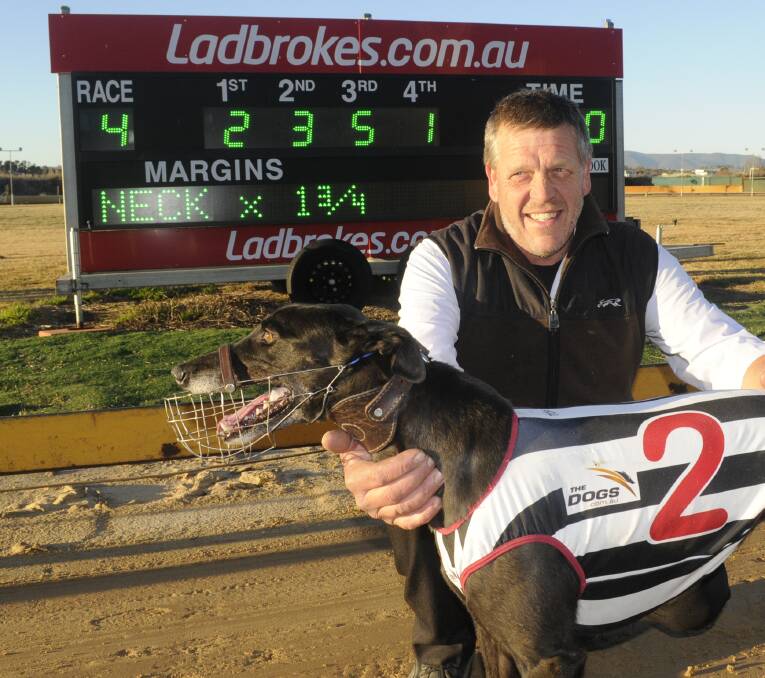 IMPRESSIVE: John Chapman with his winning runner Coco Twist at Kennerson Park on Monday. The win is the second in a row for the Collision bitch. Photo: CHRIS SEABROOK