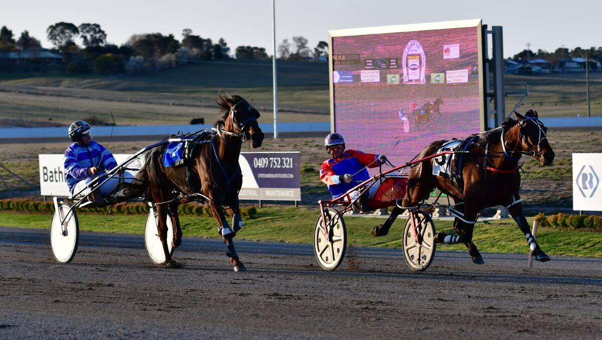 TWO HORSE FINISH: Write About Me (right) holds off a challenge from Limbo Larry on Wednesday night. Photo: ALEXANDER GRANT