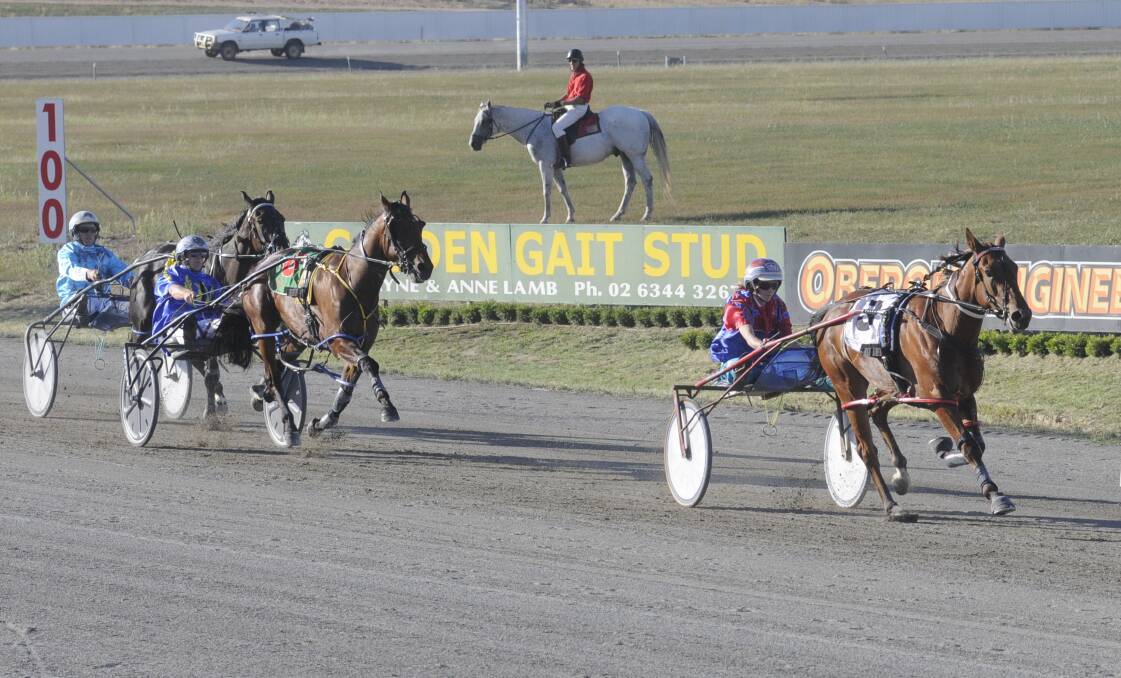 RECOGNITION: Sams The Master is one of five Bathurst-trained horses nominated for Harness Racing NSW Horse of the Year awards.
