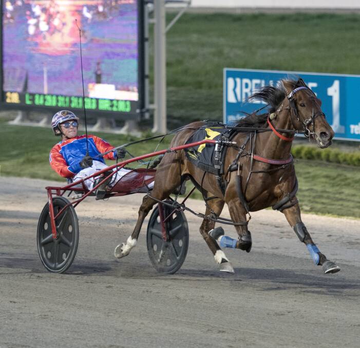 BREAKTHROUGH: Nathan Turnbull drives his four-year-old mare Gozo Pearl to her first career success at Bathurst Paceway on Wednesday night. Photo: ALEXANDER GRANT 092816agtrots1