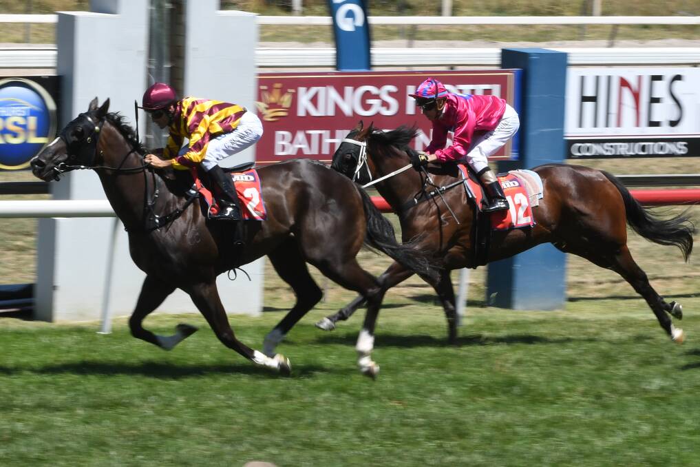 CLOSE FINISH: Bow River beats home Jetgirl in Sunday's $40,000 Hugh Bowman Cup (1,100 metres) at Tyers Park. It was the first win for the Gayna Williams-trained gelding in eight starts. Photo: CHRIS SEABROOK
