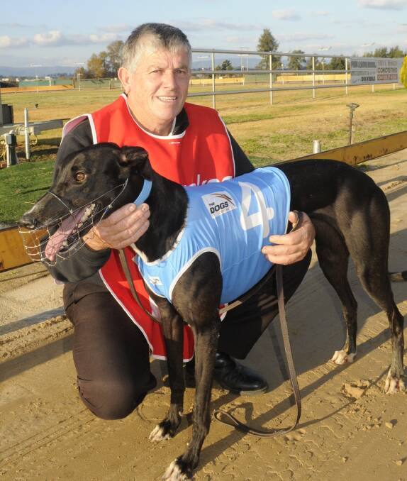 DASHING CLEAR: Raymond Smith was happy to watch his bitch Bella Mist claim a comfortable career-first win at Kennerson Park on Monday. Photo: CHRIS SEABROOK