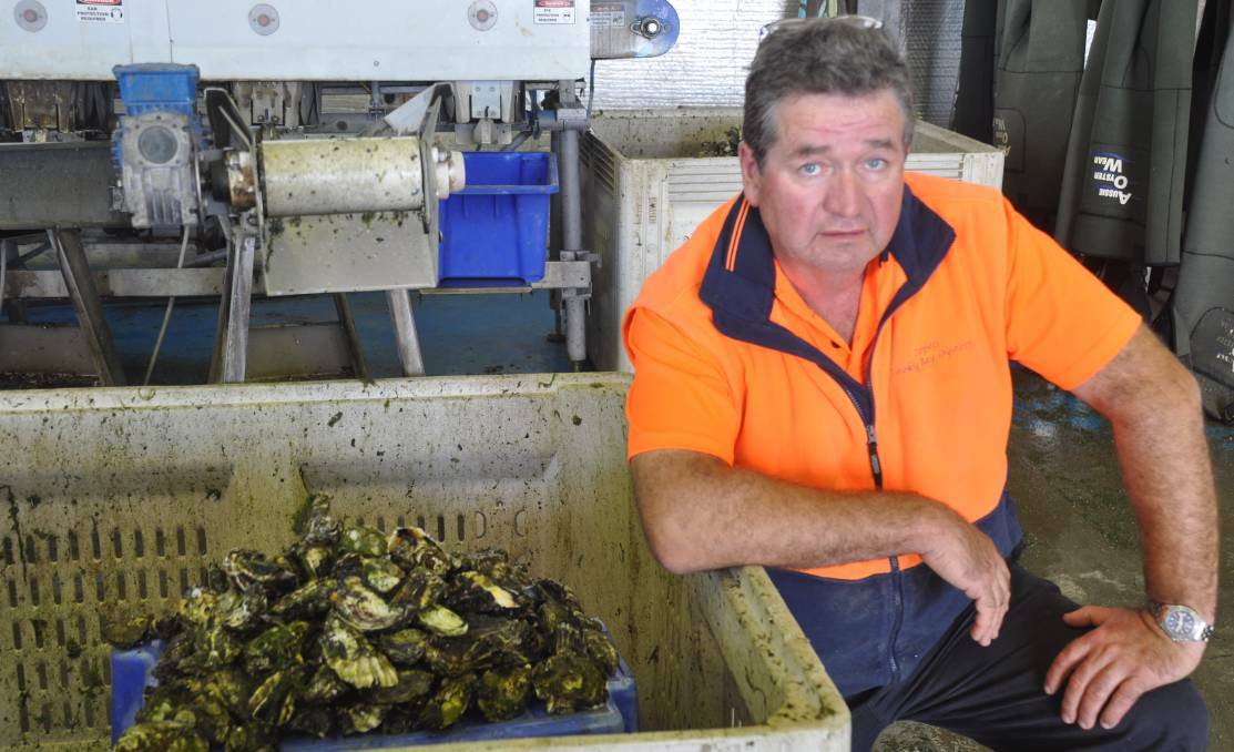SPAT SHORTAGE: Bruce Zippel said he was ready for a year of low production, but expected the oyster industry to recover. Picture: Luca Cetta