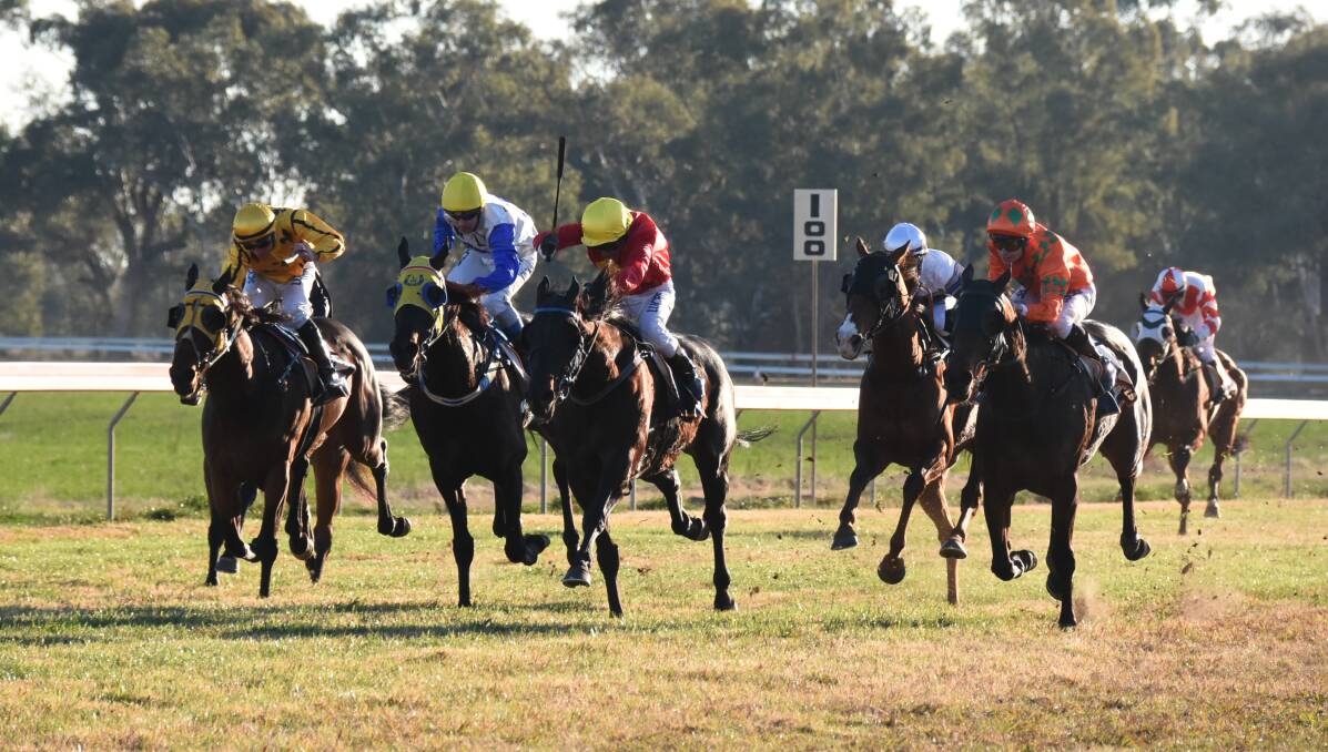 Greg Ryan delivered again to ensure a Forbes Cup win for Steamin'. Photos: RENEE POWELL