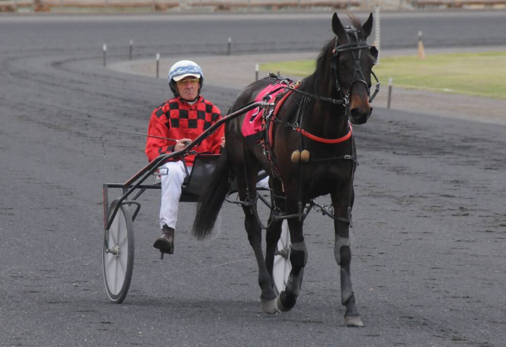 ONE TO WATCH: Michael Munro drove Siotada to a third win in four starts at Dubbo on Wednesday and sealed a berth in the Gilgandra Windmill final. Photo: NICK GUTHRIE