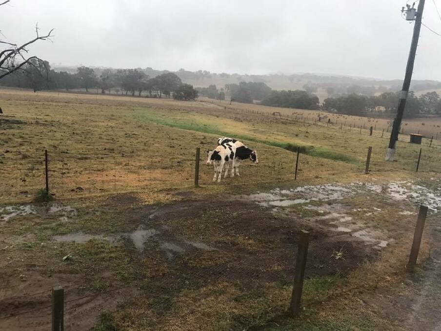GOOD DROPS: Bathurst received a significant amount of rain over the weekend, with more than 50 millimetres recorded. Photo: BILLIE WITHERSPOON
