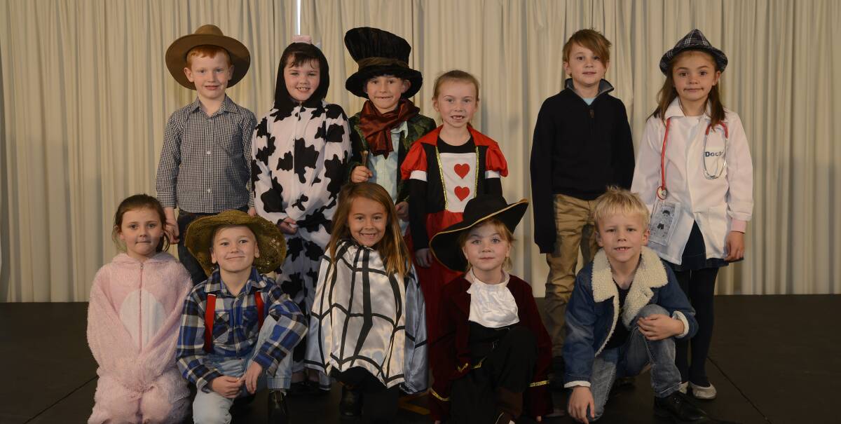 IN COSTUME: (From top) Lachlan, Maggie, Andrew, Ella-Grace, Henry, Phoenix, Lily, Charlie, Emelia, Charlotte and Jaimen from Encore. 