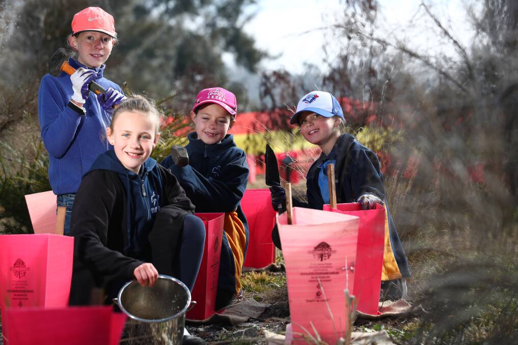 PITCHING IN: Members of 4th Creative Bathurst Guide Group Sidney Wheeler, Emma Thompson, Evie Gibbons and Natalie Cooney helped out. Photo: PHIL BLATCH